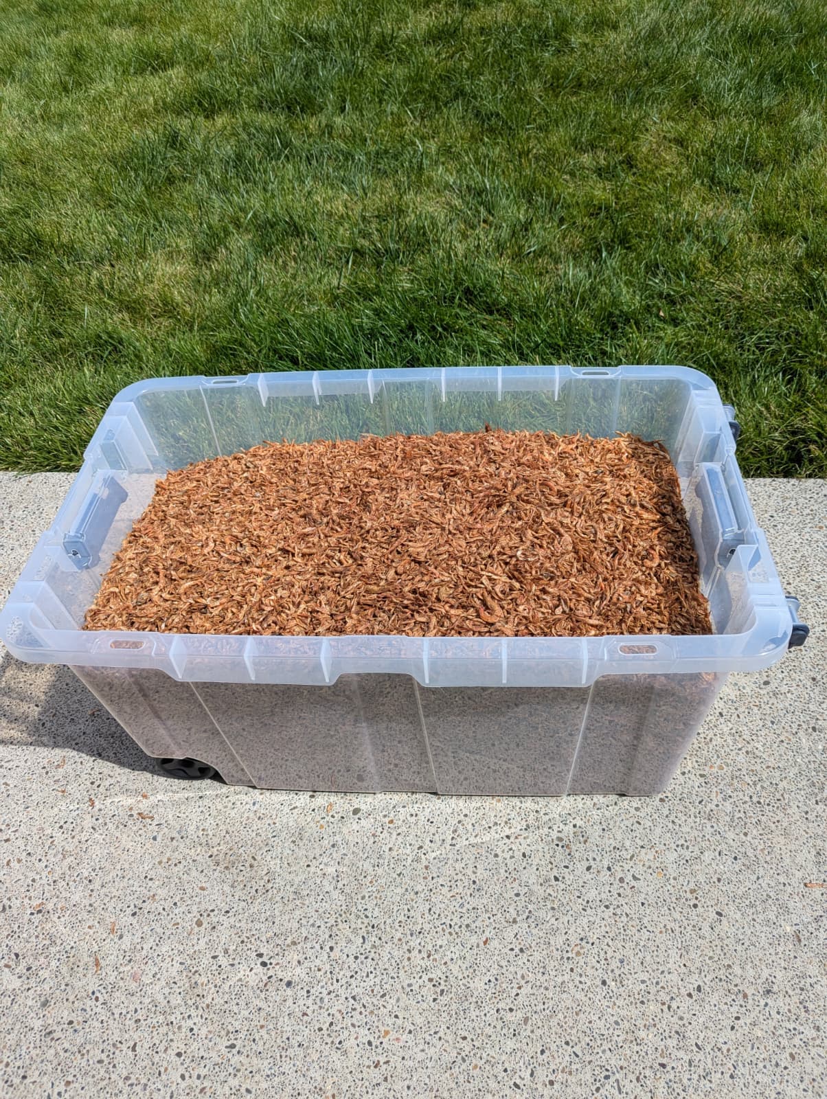 Clay product range — logistics and market access