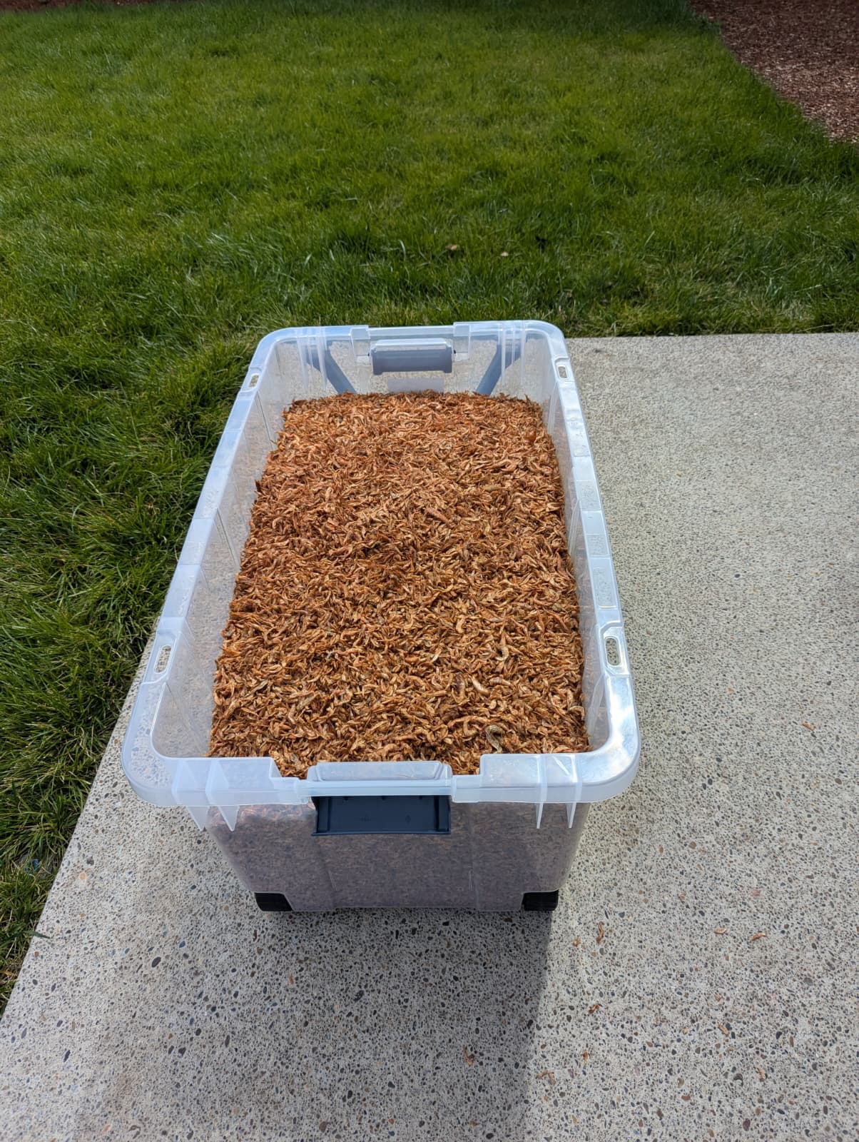 Single processed clay product unit