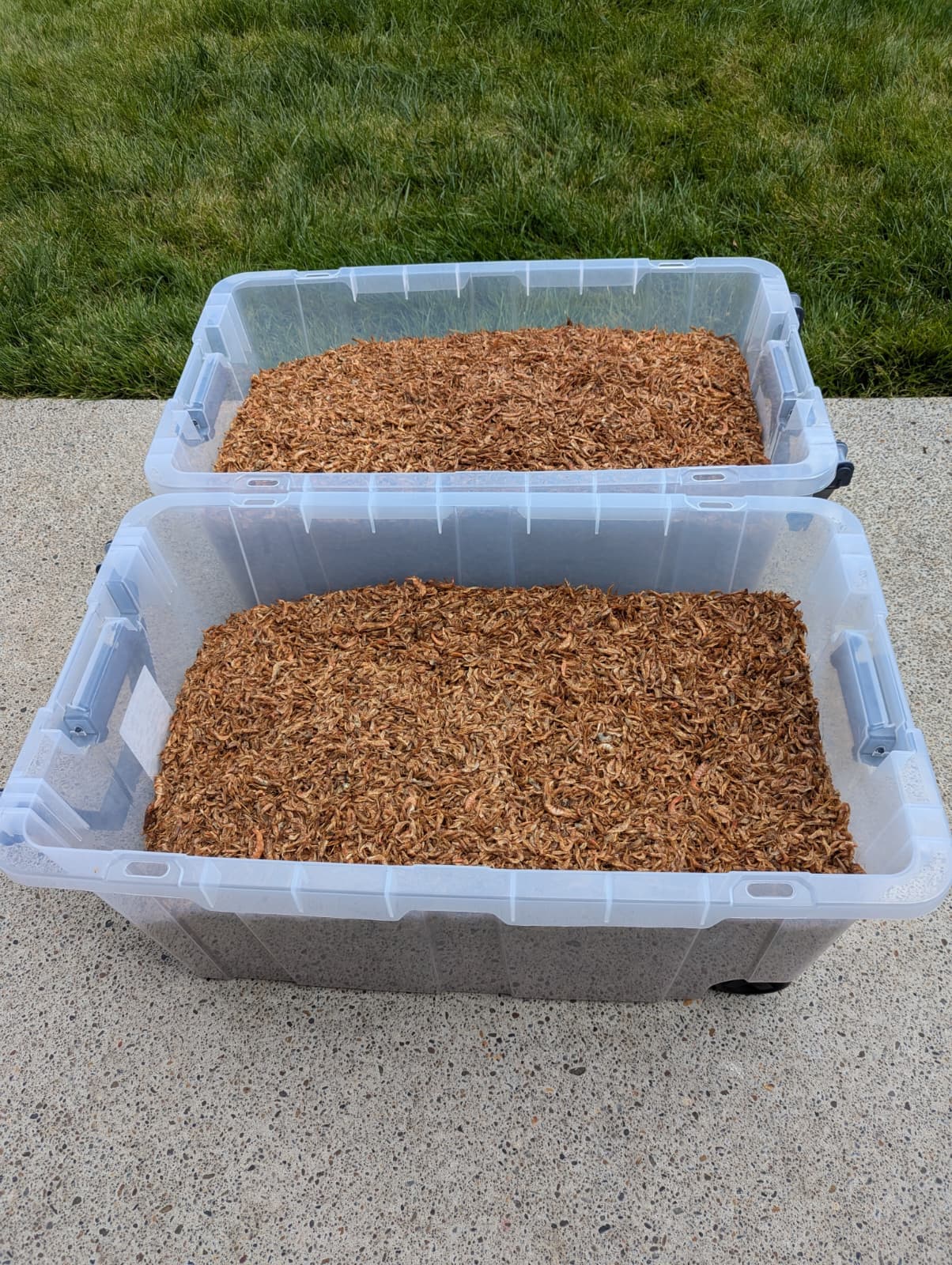 Open raw clay product
